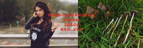 СК Арсеньев