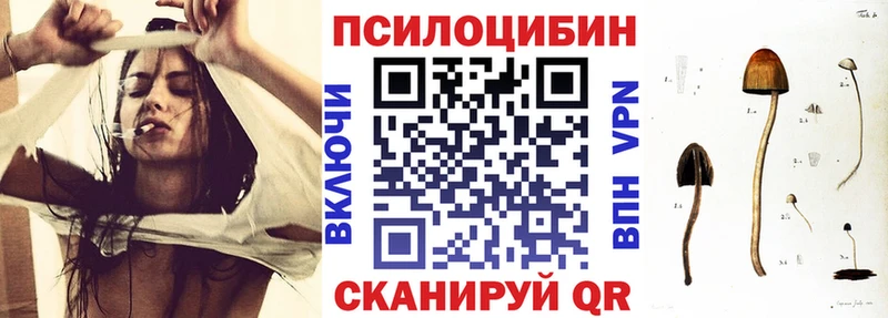 купить  цена  Дыгулыбгей  Псилоцибиновые грибы Magic Shrooms 